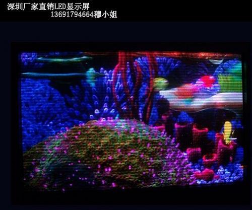 ˫ledʾҳ13691794664