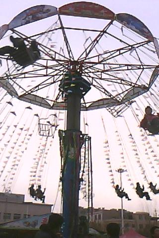 (11)