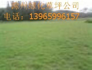 Ľƺ(419)