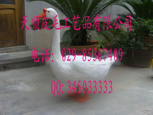 ϻϻϻϻ