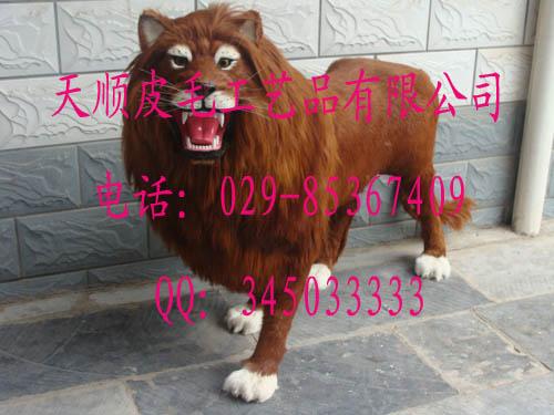 ද߷ʨӷʨ