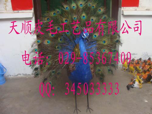 ද߷ʨӷʨ