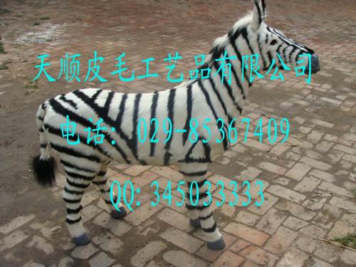 ϻƤʨƤ÷¹Ƥ