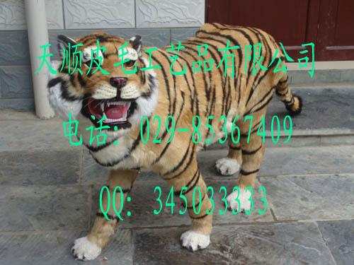 ϻƤʨƤ÷¹Ƥ