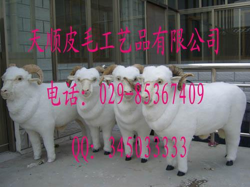 ϻƤʨƤ÷¹Ƥ