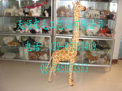 涯ģͷʨӷද