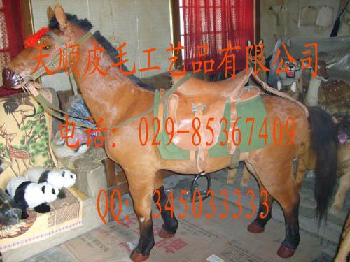 涯ģͷʨӷද