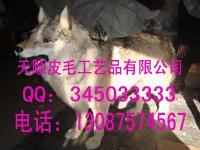 涯ģͷʨӷද