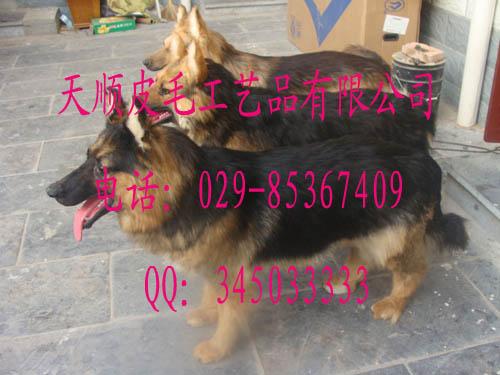 涯ģͷʨӷද