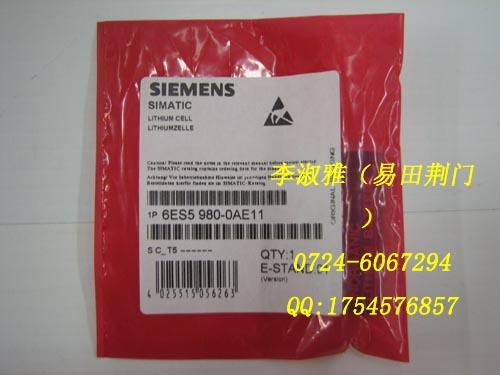 6AG1321-1BH02-2AA00724-6067294