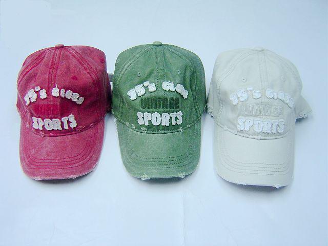 FS1080񼤹и