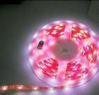 3020led