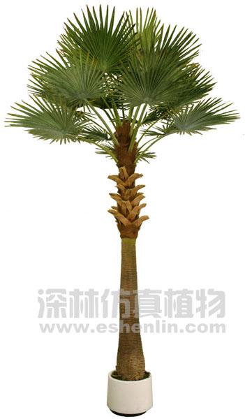 (S91004)