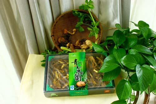 Ĵനزѡ䣬Ʒ