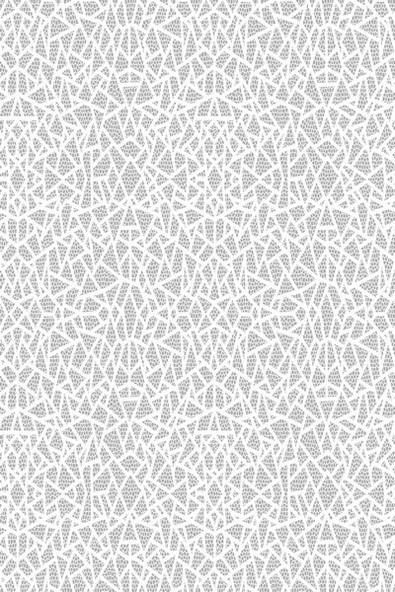 EVAƬ(CD-T021)