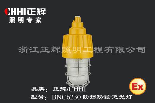 ѣ(BNC6230)