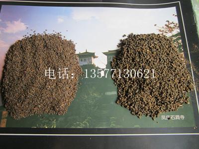 裬CTCϺ