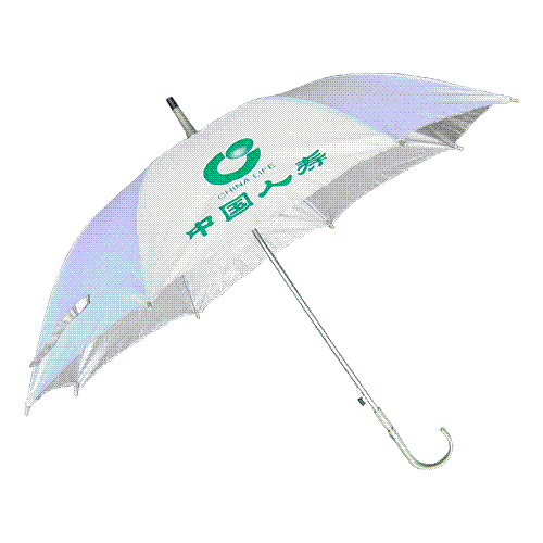 ݹɡ(2365)
