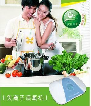 供应臭氧机厂家资讯家手臭氧机名品家用臭氧机臭氧机哪个好