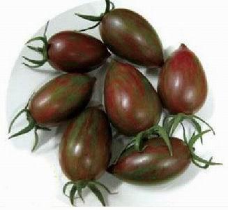 ձںڷ_ڷ_ڷӼ۸_ڷӳ