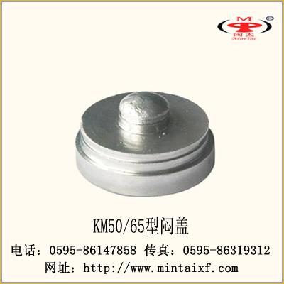 KM50Ƹǣģ̫