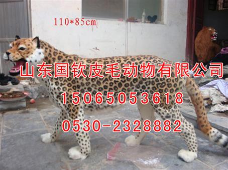 汪ӣģͣѩģͣԱģ11涯걾