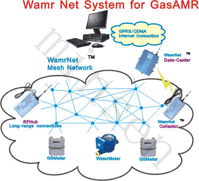 WamrNetsystemˮȱ߳