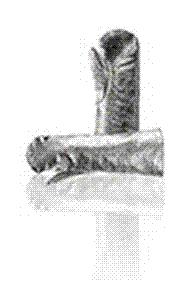 (H6)