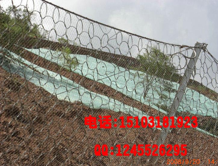 ɽSNSԷSNSԷ·ȫķ