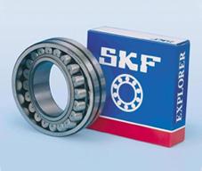 SKF(NJ1052)