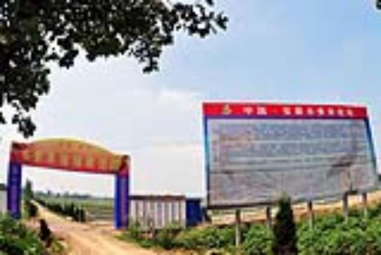 շ磬շֳ