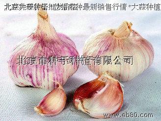 ӽ1Ŵ