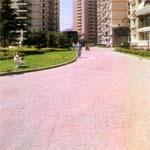ѹƺѹƺHS208#ؼ
