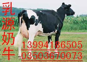 ۺ˹̹ͷ̥̥ţ7-8ţ