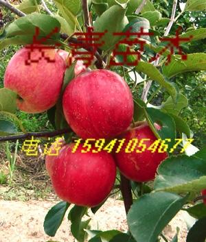 @Ʒ@123-123