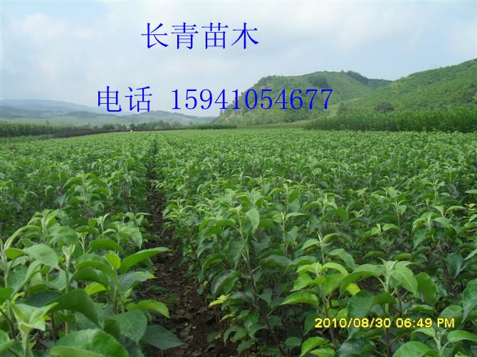 88Ӧ123=硢K0