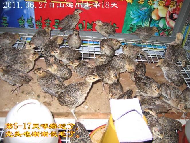 ɽ硢ͨɽ硢Ϫɽ硢ɽɽ硢ɽɽ