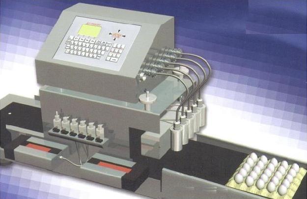 Ƽ_й,ʳƷ