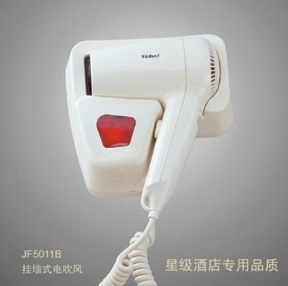 Ƶͷǽʽ紵