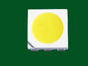 Ӧ5050Ƭ5050LED