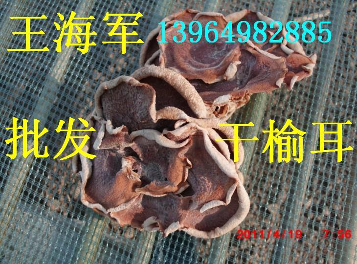 ܶӦ13964982885