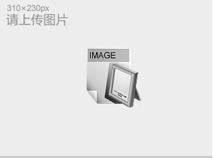 ºʪ(GT-TH-225Z)