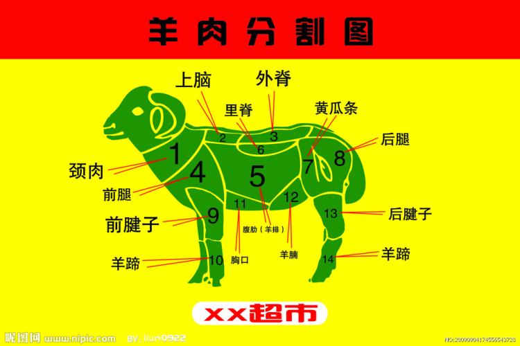 ţ(ţ)