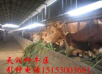 ũͷСţǮ@ţǰ