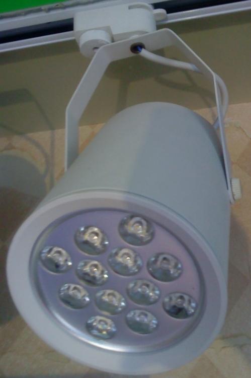 ʽled