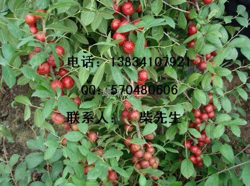 ƹ硢ƹ硢ƹ硢ƹ