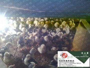 㶫硢硢