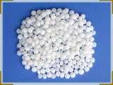 POM100P۸Ű