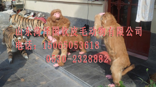 ˿ģͣ÷涯