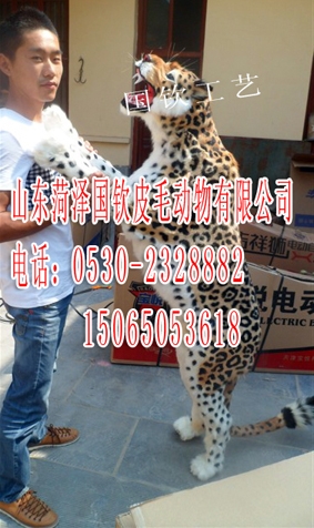 汪ݱģͷ汪